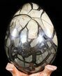 Septarian Dragon Egg Geode - Black Crystals #50822-3